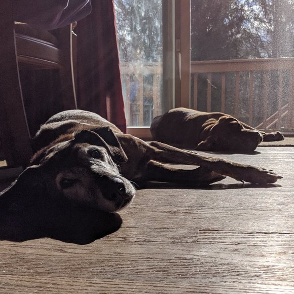 Meet your Posher, Kate - Picture 5 of 11